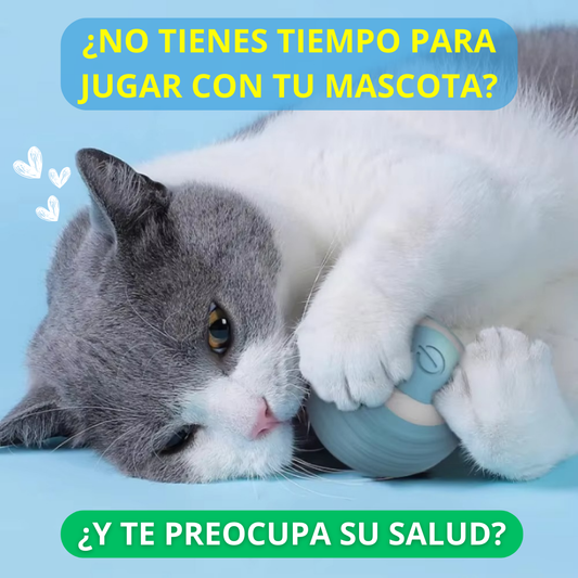 Pelota Interactiva Para Mascotas