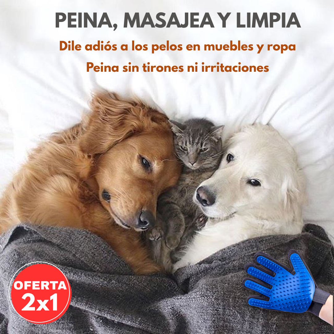 PetGlow® 3 en 1 – Peina, masajea y limpia en segundos