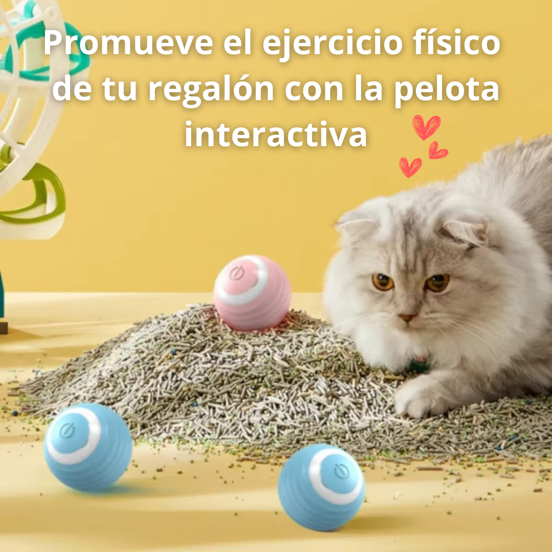 Pelota Interactiva Para Mascotas