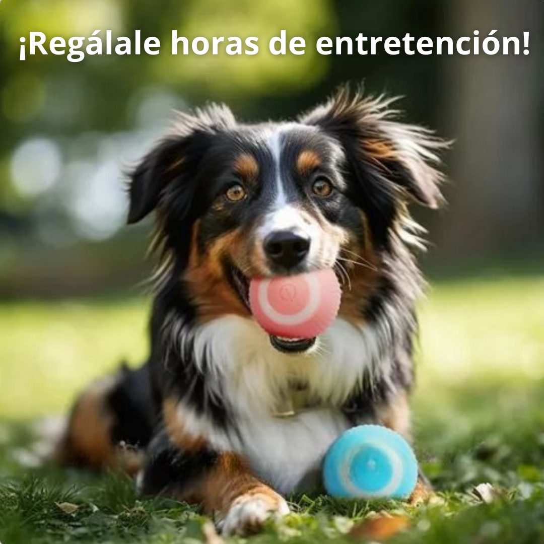 Pelota Interactiva Para Mascotas