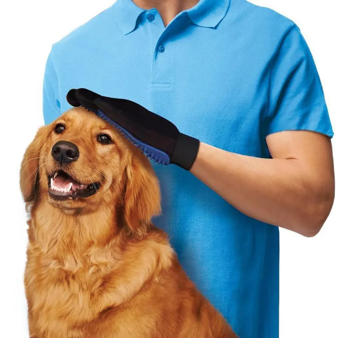 PetGlow® 3 en 1 – Peina, masajea y limpia en segundos