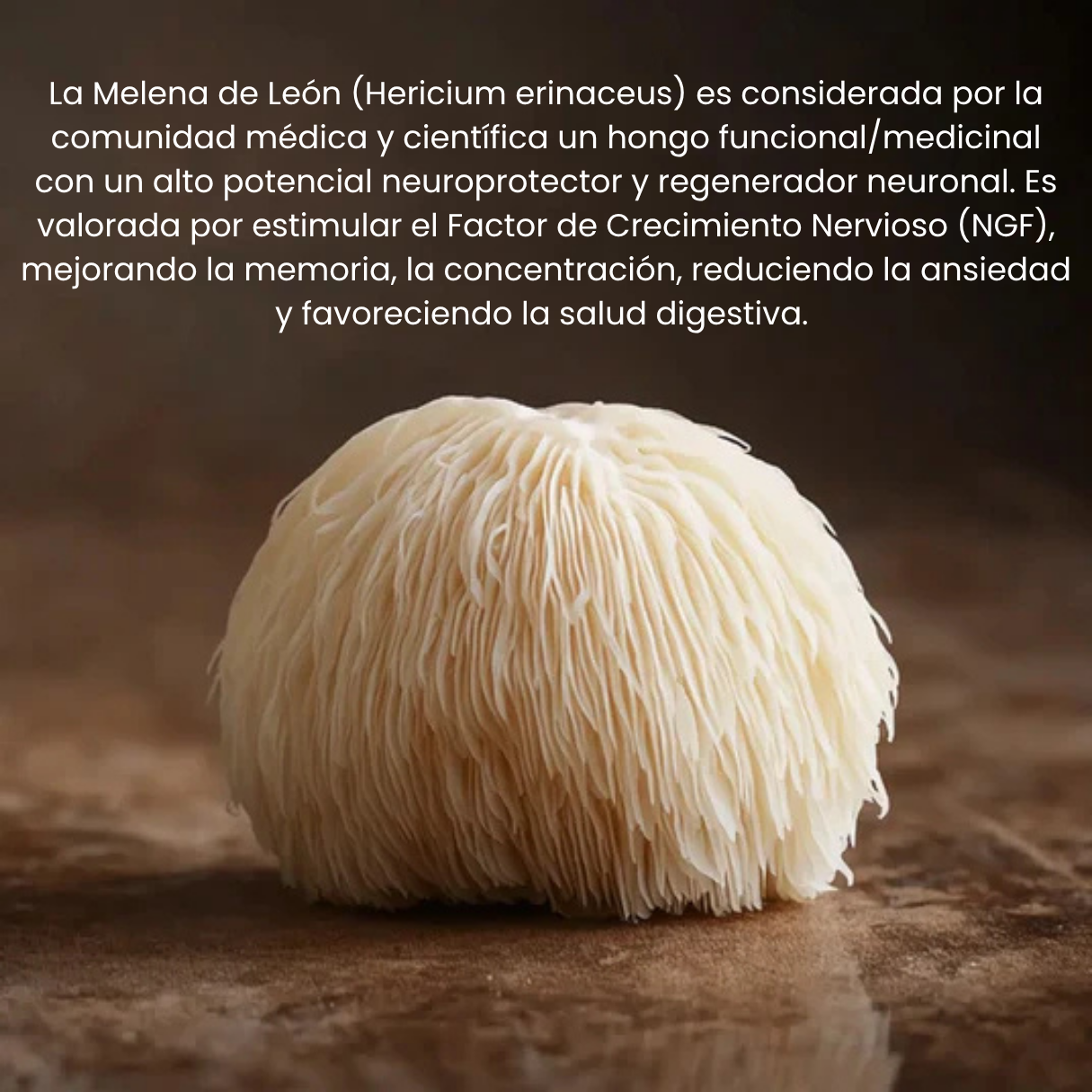 NeuroVital™ | Melena de León + Magnesio - Recupera tu claridad mental