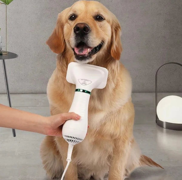 Cepillo Secador 2 en 1 - Más cómodo para ti y tu mascota