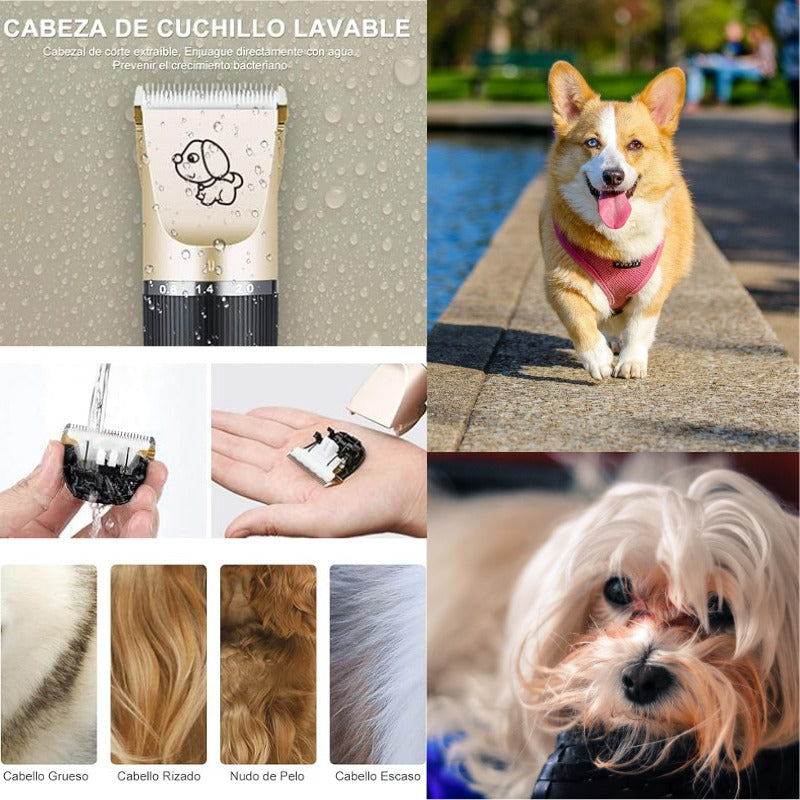 Kit de Afeitadora Inalámbrica para Mascotas